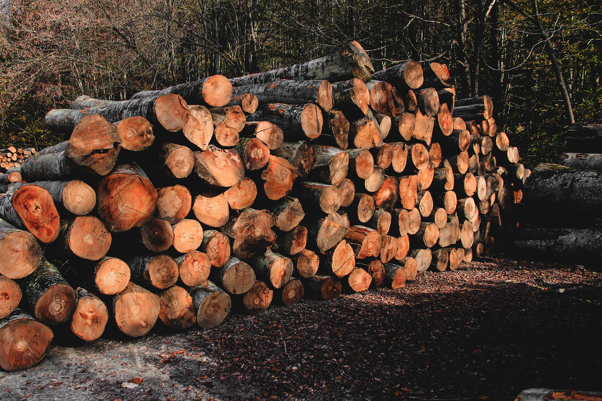 Wood Stack